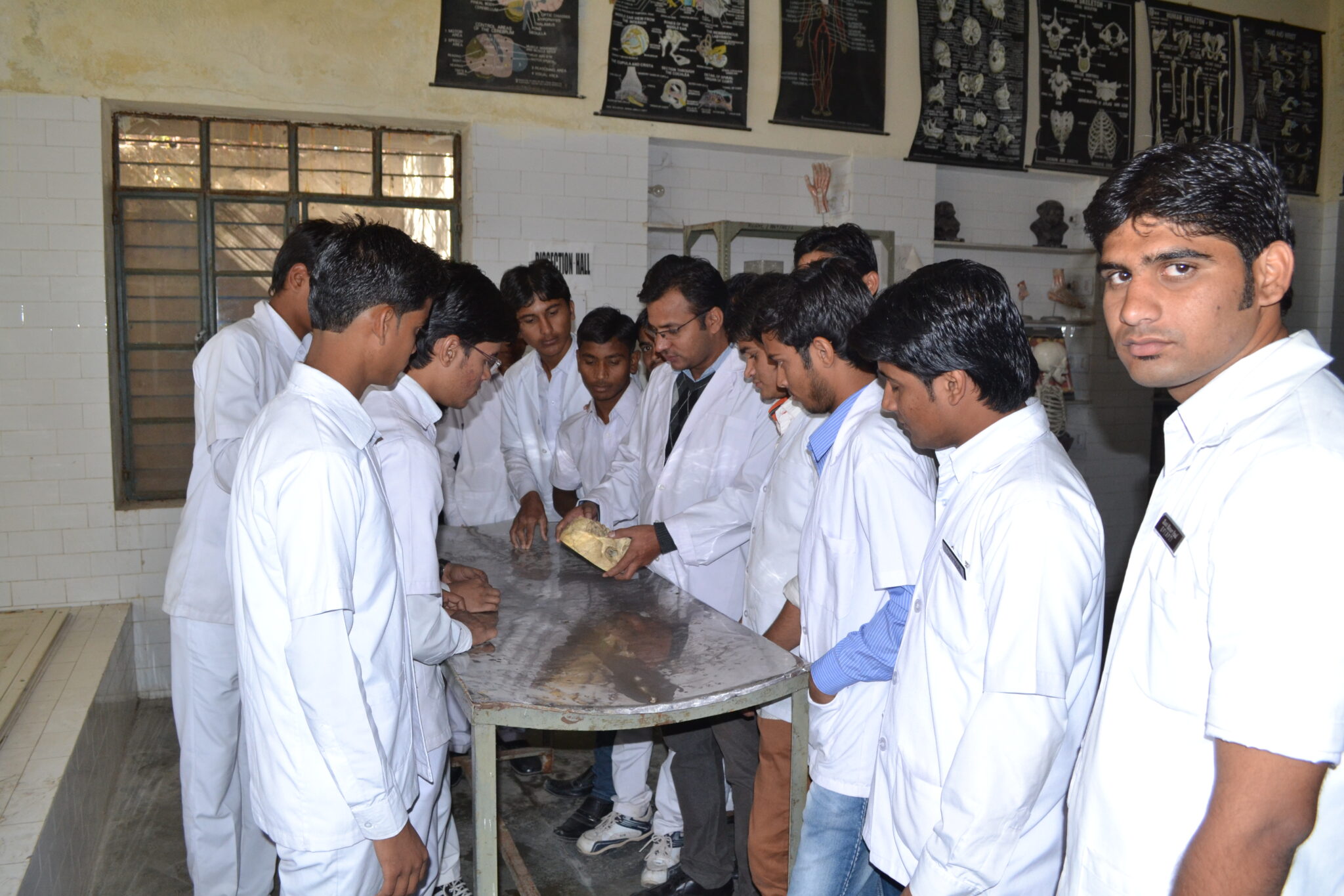 Students in a lab